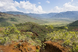 View over the Blue River Provincial Park, Yate, New Caledonia, Pacific
