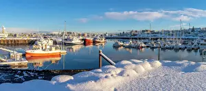 Sailboats Prints: View of boats in Hafnarfjorour Marina and town in background in winter
