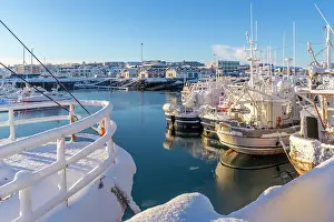 Vessels Prints: View of boats in Hafnarfjorour Marina and town in background in winter