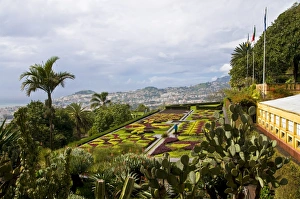 Funchal Prints: View over the Botanical Garden, Funchal, Madeira, Portugal, Europe