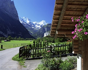 View to the Breithorn