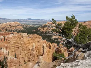 A view of the Bryce amphitheater from the rim at Bryce Canyon National Park, Utah