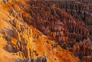 Sand Stone Prints: View of the Bryce Canyon at sunset