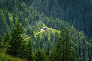 Cabin Prints: View of a cabin among pine trees at Schmittenhöhebahn top station on a sunny day in Zell am See