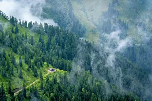 Cabin Prints: View of cabin surrounded by pine trees and clouds at 2000m altitude on a sunny day in Austria