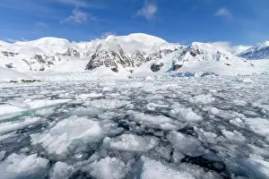 Clear Skies Prints: View of calm seas and reflected mountains surrounding Paradise Bay on the western side of the Antarctic Peninsula
