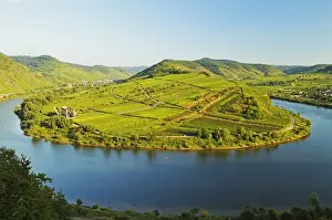 River Mosel Prints: View of Calmont vineyards, Stuben Augustinian Convent