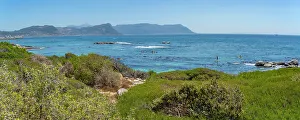 Canoe Prints: View of canoeing and Boulders Beach from elevated position