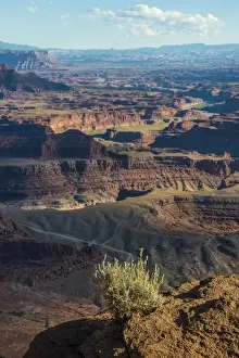 Canyonlands Prints: View over the canyonlands and the Colorado River from the Dead Horse State Park