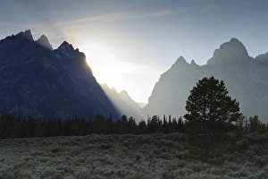 Teton Range Prints: View down Cascade Canyon with backlit Teton Range