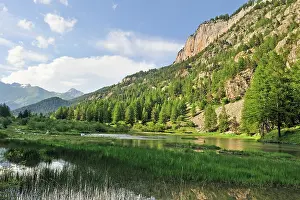 Botanical Prints: View of Casterino Lake surrounded by mountains and forests in Mercantour National Park