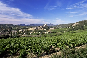 Wine Country Prints: View to the castle from vineyard, Vaison-la-Romaine, Vaucluse, Provence, France, Europe