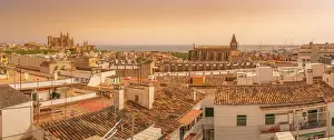 Golden Light Prints: View of Catedral-Basilica de Santa Maria de Mallorca and rooftops