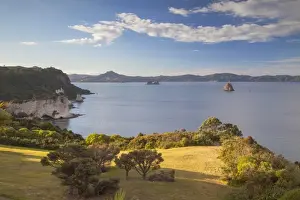 Cathedral Cove Prints: View of Cathedral Cove Marine Reserve (Te Whanganui-A-Hei)