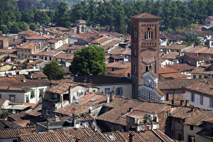 Roof Top Prints: View of the Cathedral, Lucca, Tuscany, Italy, Europe