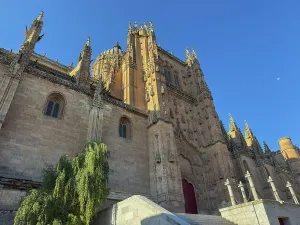 Plaza Prints: View of the Cathedral from Plaza de Anaya in Salamanca
