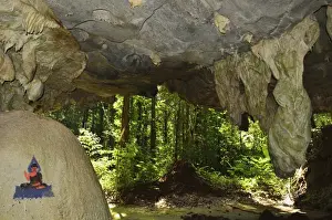 Rain Forest Prints: View from cave to rainforest, Tiger Cave Temple (Wat Tham Suea)