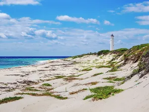 Dunes Prints: View towards the Celarain Lighthouse