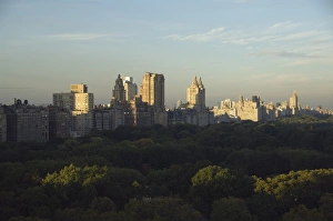 Central Park Prints: View of Central Park looking north