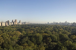 Central Park Prints: View of Central Park from south looking north