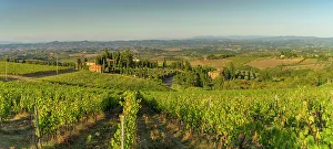 Viniculture Prints: View of chaleau and vineyards near San Gimignano