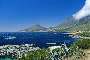 View from Chapmans Peak Drive