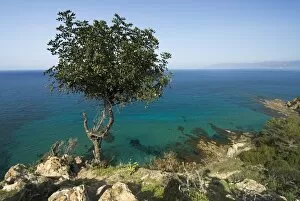 View along Chrysochou Bay on North West coast, near Latsi, Cyprus, Mediterranean, Europe