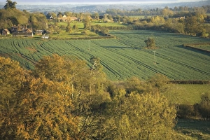 Midland Prints: View from the church of St. Mary the Virgin of Hanbury