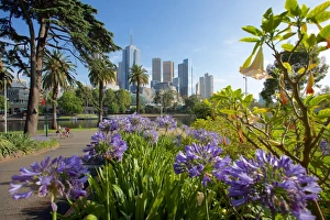 Alexandra Gardens Prints: View of City from Alexandra Gardens, Melbourne, Victoria, Australia, Pacific