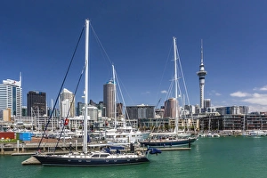 Auckland Prints: View of the city of Auckland from Auckland Harbour, North Island, New Zealand, Pacific