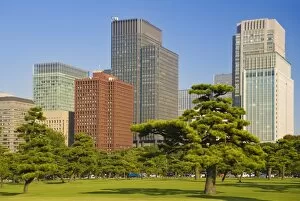 View of City Centre from Imperial Plaza, Tokyo, Japan, Asia
