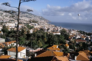 Funchal Prints: View over city from Fortaleza do Pico (fort)