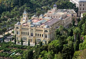 Shrubs Prints: View over city hall (Ayuntamiento) building