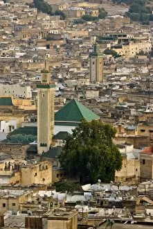 View of city from the hills surrounding, Fez, Morocco, North Africa, Africa