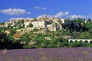 Lavender Prints: View of the city of Sault on a hillside with lavender fields in the foreground during a sunny day in southeastern