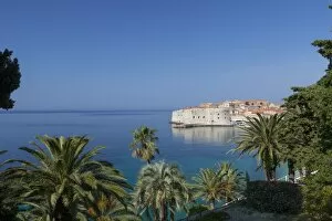 Images Dated 10th June 2010: View of city across the sea and through palm trees, Dubrovnik, UNESCO World Heritage Site