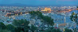 Foreground Prints: View of city skyline of Palma and cathedral from Castell de Bellver at dusk