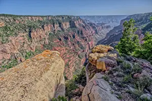 Undergrowth Prints: View of Clear Creek Canyon from its north cliffs at Grand Canyon North Rim Arizona