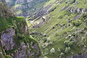 Lush Vegetation Prints: A view across the cliffs of Cheddar Gorge