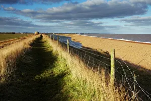 Fence Prints: A view of the coast at Bawdsey, Suffolk, England, United Kingdom, Europe