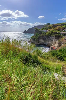 Lush Vegetation Prints: View of coastline from elevated position in Sant'Angelo