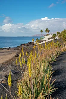 Las Palmas Prints: View of coastline and Playa El Barranquillo beach