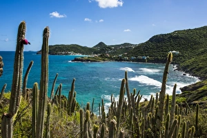 View over the coastline of St. Barth (Saint Barthelemy), Lesser Antilles, West Indies