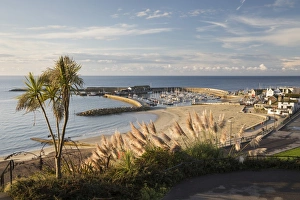 View over The Cobb and beach from Langmoor and Lister gardens, Lyme Regis, Dorset