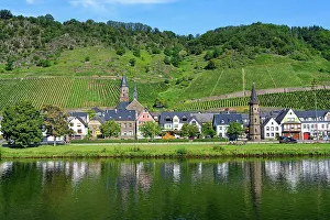Viniculture Prints: View over Cochem and the Moselle River, Cochem, Rhineland Palatinate, Germany, Europe