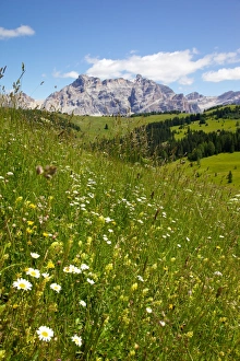 View from Col Alto, Corvara, Badia Valley, Bolzano Province, Trentino-Alto Adige / South Tyrol, Italian Dolomites, Italy, Europe