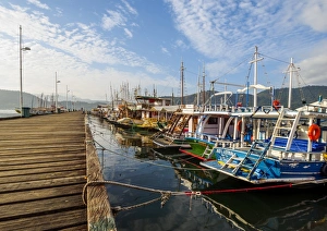 Paraty Prints: View of the colourful boats in Paraty, State of Rio de Janeiro, Brazil, South America