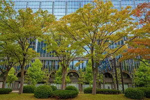 Ishikawa Prints: View of colourful trees turning in autumn against modern buildings