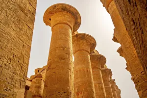 Support Prints: View of Columns, Great Hypostyle Hall