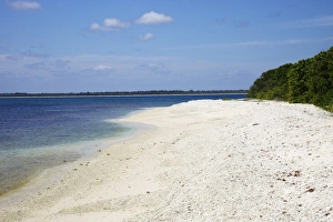 Trincomalee Prints: View of coral beach on Pigeon Island National Park, Trincomalee, Sri Lanka, Asia